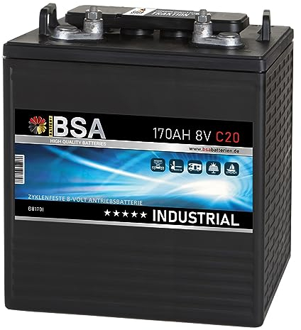 BSA Batterie 8V 170Ah Traktionsbatterie Antrieb Gabelstapler Stapler Hubwagen Hebebühne Elektroauto Batterie