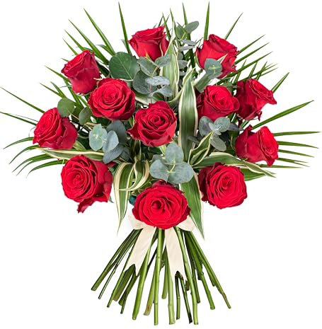 12 Red Roses - Fresh Flowers - Birthday, Anniversary, Get Well, Thank You, Occasion Flower - Fresh Cut Floral Arrangement for Home Décor, Gifts, Weddings, Sympathy, Celebrations, and Special Events