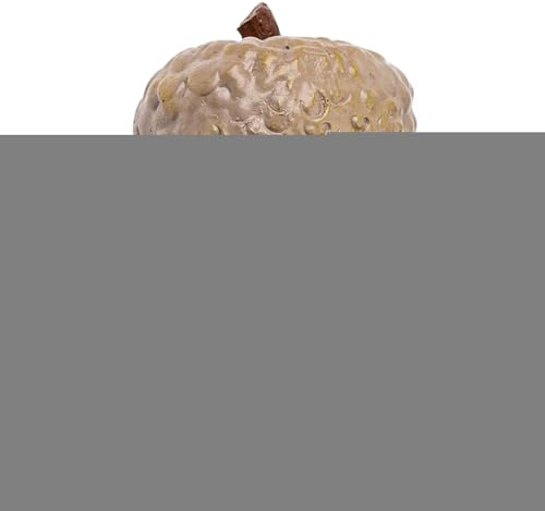 Cachette de noisette sûre - Mélange naturel - 10,5 x 5,5 x 6 cm - Boîte à clés secrète en forme de noisette - Construction robuste en résine - Pour argent, clés, bijoux, maison et bureau