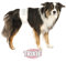 TRIXIE 2X Rüdenwindeln, Hundewindeln - Einwegwindeln, 12 Stück (M-L, 46-60 cm)
