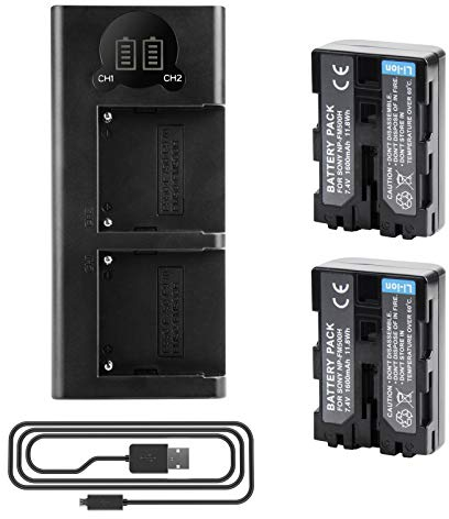 2 X NP-FM500H Ersetzt Akku und Dual Ladegerät Kompatibel mit Sony A57 A58 A65 A77 A100 A200 A200K A200W A300 A300K A300X A350 A450 A500 A580 A700 A850 A900 A900 ILCA-77M2 SLT-A99 Alpha A99 II (TYPE A)