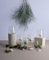 Minizoo Paris Wasserglas mit Tierfiguren | Becher | 6er Set | 350cc | Party | Weihnachtsgeschenke | Muranoglas Figuren für die Innendekoration