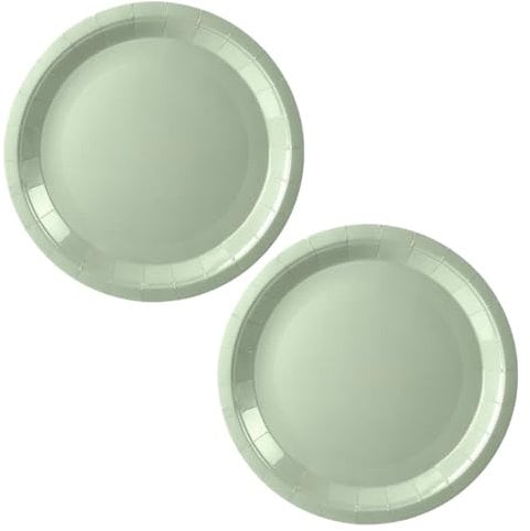 CEILIWEN Confezione da 100 piatti di carta verde salvia, 18 cm, rotondi, in tinta unita, per feste, compleanni, matrimoni, feste in giardino, per catering ed eventi (verde salvia, 17,8 cm)