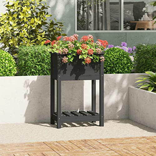 LAPOOH Jardinière avec étagère Gris 54x34,5x81 cm Bois Massif de pin,Jardinières,Jardinieres Exterieur,Bac Jardiniere,Bac à Fleurs Extérieur,Jardinieres Balcon