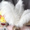 Weiße Straußenfedern, Dekoration, 15–70 cm, große Straußenfedern, Karneval, Tischdekoration, Party, Hochzeit, Zubehör, Dekoration, 25–30 cm, kleine Stange, 50 Stück
