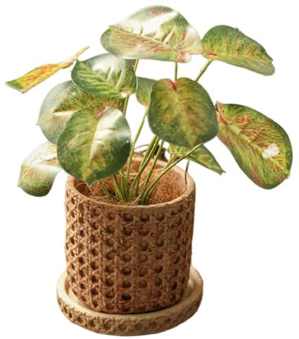 Pflanztopf Rattan Wiener Wabengeflecht Zement Blumentopf mit Entwässerungsloch & untersatzer,Runder Beton-Übertopf Pflanzkübel Boho Natural, Dekorativer Topf Blumenkübel für Innen und Außenpflanzen (