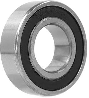 RCTGPGJAC Motorkugellager kompatibel for Ninebot MAX G30 Ball Hinterradlager hinten 6003 2RSH Roller Edelstahl Kreis Ersatzteile(1pc)
