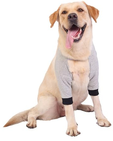 Ellenbogenbandage Hund, liegeschwielen Hundebody Nach Op, Kniebandage Hund Hinterbein, Pfotenschutz Hund, Mittelgroße und Große Hunde Chirurgie Erholung Recovery Sleeve für Vorderbeine (Grau, L)