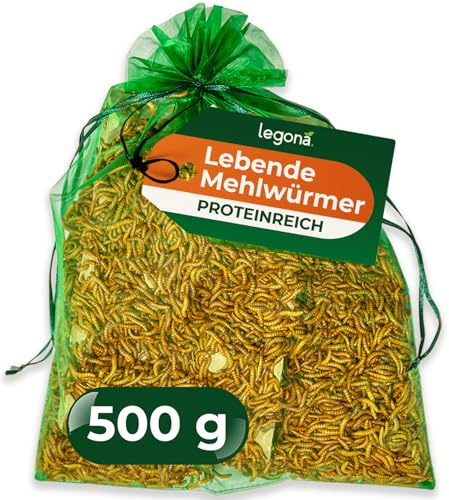 Legona Lebende Mehlwürmer, 500 g Futterinsekten für Reptilien und Hühner | Lebendfutter aus Tenebrio-molitor-Zucht, für Reptilien, Geflügel, Wildvögel und Fische