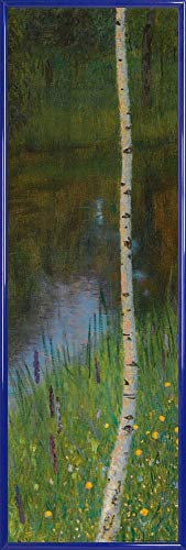 1art1 Gustav Klimt Poster Kunstdruck Bild und Kunststoff-Rahmen - Seeufer Mit Birken, 1901 (91 x 30cm)