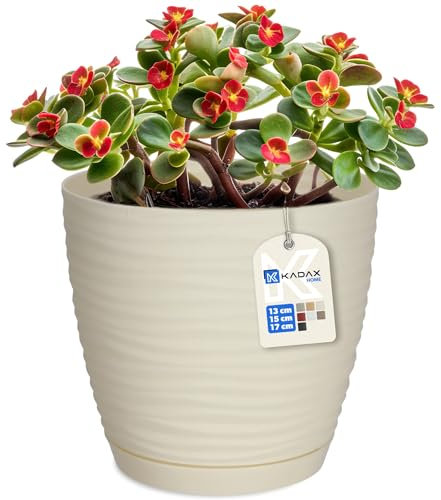 KADAX Pot de Fleurs en Plastique avec Soucoupe, Cache-Pot Moderne Ornée d'un Élégant Motif Ondulé pour Une Décoration Florale (Ronde, Crème, 13 cm)