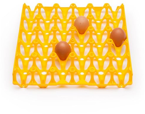 Eivolution Eierhorden aus Plastik für 30 Eier - 6 Stück - Wiederverwendbare Höckerlagen - Geeignet für Hühnereier in den Größen S, M,L & XL - Gelb - ideal zum Transport und Lagerung