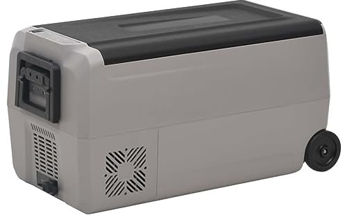 Tidyard Glacière avec Roue et poignée Noir et Gris 50 L PP et PE