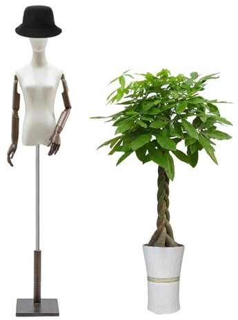 Halbkörper-Mannequin weiblich, Mannequin-Torso mit Ständer | Abnehmbare Schaufensterpuppe mit Kleiderform - Schaufensterpuppe mit quadratischem Ständer, Holzarmen und Kopf für die Präsentation von Kle