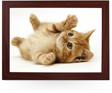 Portable Lap Desk Tray (Playful Kitten) Handmade Wooden Frame, Beanbag Cushioned Bottom | Computers, Laptops, Meals, Food | L0125 Brown