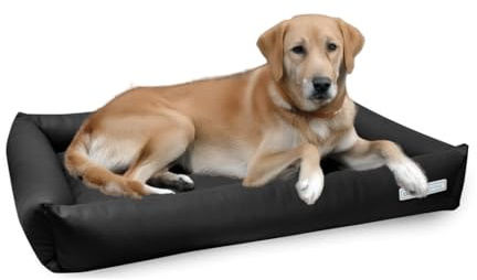 dogsfavorite, Hundebett Starter aus Kunstleder, Hundekissen, Pflegeleicht, 100 x 75 cm, schwarz