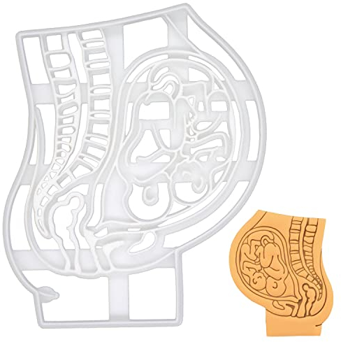 Schwangere Gebärmutter mit Zwillingen Föten Ausstechform (beide kinder in schädellage), 1 Teil