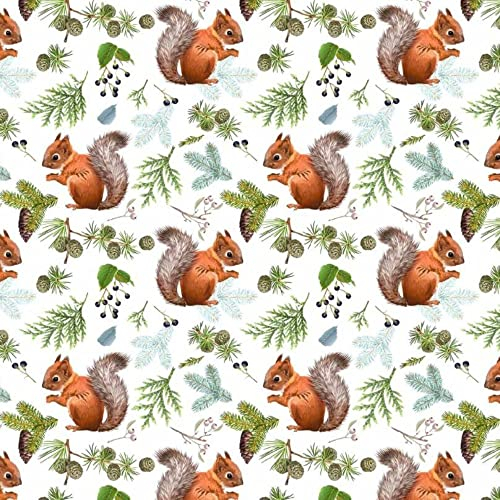 Eichhörnchen Nuss Weiß 100x160cm 1 Meter 100% Baumwolle Baumwollstoff Kinder Meterware Handwerken Nähen Stoff