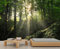 QDJKBL Green Sunny Forest Wallpaper Woods Nature Scenery Wall Murals 3D Tropical Jungle Photo Wallpaper Forest Bedroom Mural for Living Room Tv Background Wall 100 x 70 cm