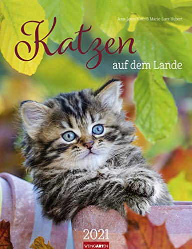 Katzen auf dem Lande - Kalender 2021 - Weingarten-Verlag - Wandkalender mit bezaubernden Aufnahmen und Platz zum Eintragen - 29,8 cm x 38,8 cm