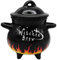 Winkee - Cuenco para sopa Witches Brew