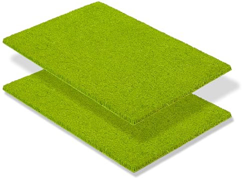 Carpido rutschfeste Kokosmatte - 2er Set 40 x 60 cm Grün - nachhaltige Naturfaser für den überdachten Außenbereich - 100% Kokos Fußmatte - Türmatte Eingang