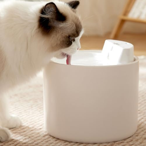 PJDDP Fontaine À Eau pour Chat, en Céramique, Fontaine pour Chats sans Fil, 2.5L Fontaine pour Chats Automatique Ultra Silencieuse pour Chats, Chiens