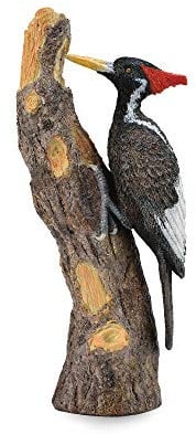 NICI - Pajaro Tischler, Mehrfarbig (Collecta 90188802)