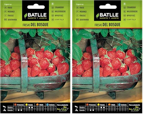 Graines aromatiques de Batlle - Fraises des bois (0,4g) (Lot de 2)