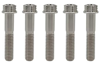 RISON-Titanium Titanschrauben M10x1.25x45mm, 5 Stück Flanschschraube Torx Kopf Flansch Schrauben Sechskantschrauben Gewindeschrauben GR5 Titanbolzen Befestigungen für Motorräder Fahrrad Auto
