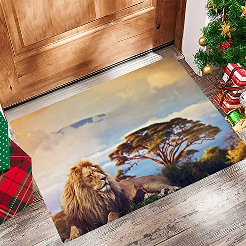 Badezimmerteppich 60x100 cm,Badematte rutschfest,Weicher Badvorleger,Afrika-Löwe, der im Gras auf Savanne bei Sonnenuntergang-Safari,Mikrofaser Absorbent Badteppich für Badewanne,Dusche und Badezimmer