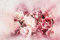 Rose Pivoine Affiche Abstrait Aquarelle Fleurs Toile Tableau Art Peintures Decoration Murale pour Salon Chambre Tableau Decoration, sans Cadre (70X100CM)