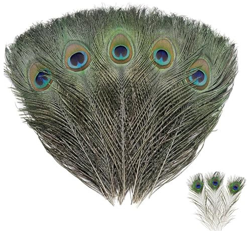 Aweisile 20 Stück Pfauenfedern 25-30 cm Pfauenfedern Lang Basteln Deko Pfauen Federn Pfauenfede Lange Federn Pfau Deko Schöne Augen Federn Pfauenfedern Lang Echt für Party Kostüm Masken vase Hüte DIY