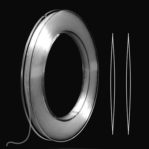 Redamancy Filo Nylon Trasparente 0,45 mm×200 m, Filo da Pesca in Nylon Resistente all'Usura, Filo Trasparente per Appendere, per Cucire per Gli Ornamenti Appesi e Cuci Hobby
