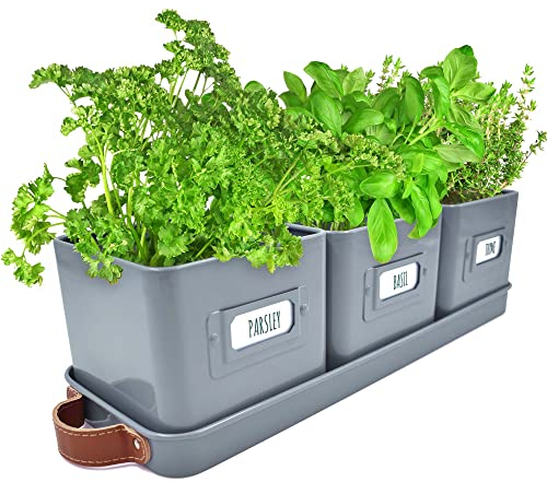volila Maceta de jardín de hierbas para ventana de interior, macetas para plantas de interior con asas de cuero y etiquetas, para decoración de alféizar de ventana de cocina, plantas de interior,