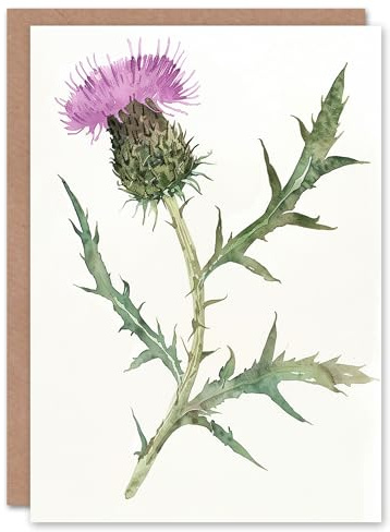 Artery8 Single Scottish Thistle Flower Bloom Watercolour Blank For Him Or Her Art Sympathy Card