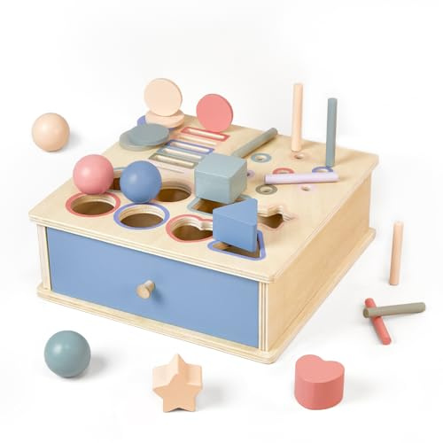 Arbolisse Montessori Spielzeug ab 1 2 3 Jahr, Holzspielzeug Kinder Farbe Sortierspiel Baby Spielzeug 1 Jahr Kinderspielzeug ab 1-3 Jahre Geschenk Mädchen Jungen Motorikspielzeug Lernspiele ab 1 Jahr