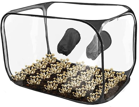 1pc Pilz Zelt wachsen Zelt mit 2 Armlöchern 35,4 x 23,6 x 23,6 Zoll großer Transparent Still Air Box für Pilzanbau Kit Falten Sie Pop -up -Pilzanbau Box mit Reißverschluss für den Innenraum im Frei