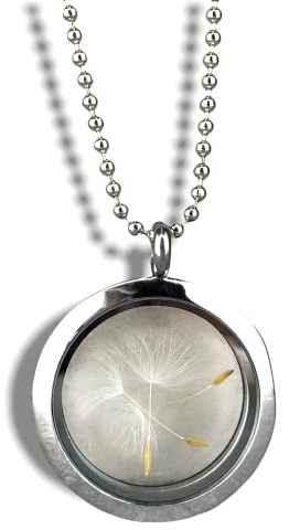 MadamLili | Halskette mit echten Pusteblumen im Glas-Medaillon | Silberkette Damen 70cm | Handgefertigter Naturschmuck mit Löwenzahnsamen | Geschenk für Frauen | Muttertagsgeschenk Glücksbringer Kette