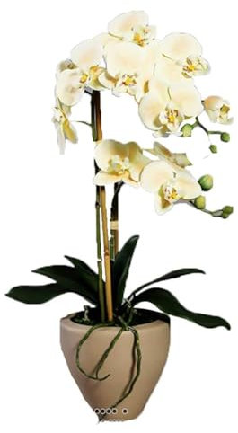 Artificielles.com - Orchidee factice 2 hampes pot Ceramique H57cm touché réel Vanille - couleur: Vanille