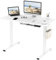 FLEXISPOT E1 Plus ONE PIECE Electric Standing Desk Height Adjustable Sit Stand Desk with Memory Smart Panel(120 * 60cm, White Frame+Maple Desktop)