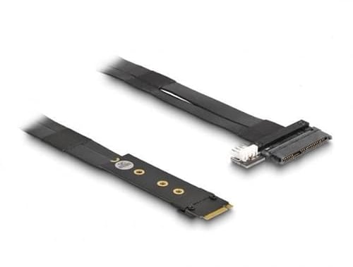 DeLOCK M.2 Key M zu U.2 SFF-8639 NVMe Adapter mit 20 cm Kabel