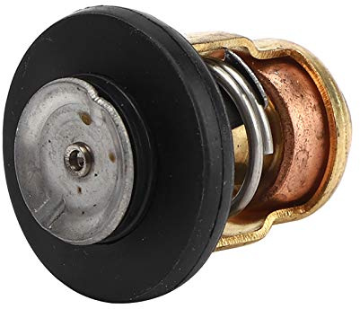 Valvola termostatica termostatica alta precisione robusta facile installazione 6E5-12411-30 per motori fuoribordo Altri mezzi di trasporto