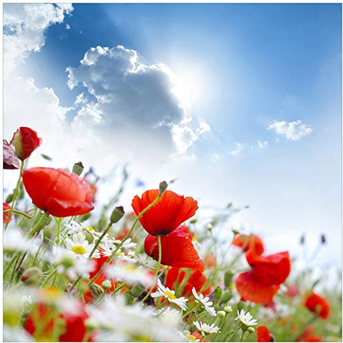 Wallario Glasbild Mohnblumen unter blauem Himmel - 55 x 55 cm Wandbilder Glas in Premium-Qualität: Brillante Farben, freischwebende Optik