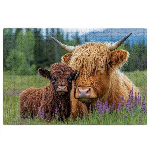 Puzzle 1000 Teile Erwachsene, Highland Cow Puzzle mit Geschenkbox, Holzpuzzle Erwachsene, Herausforderndes Rätsel 75x50cm, Holzpuzzle für Weihnachtsdeko, Deko Wohnzimmer, Geschenke Thema: Tier D-22