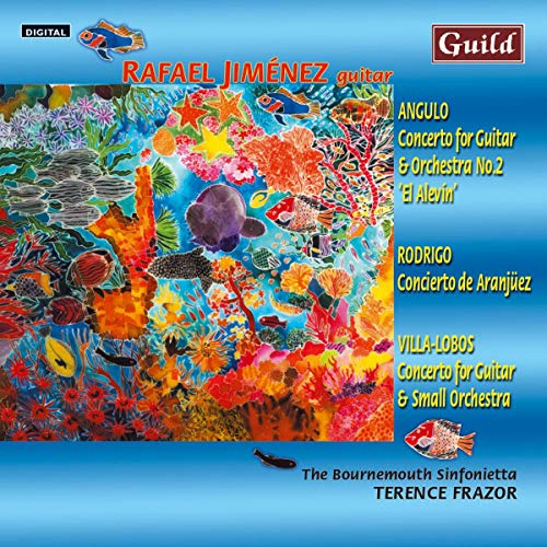 Concerto for Guitar & Orchestra 2: Alevin