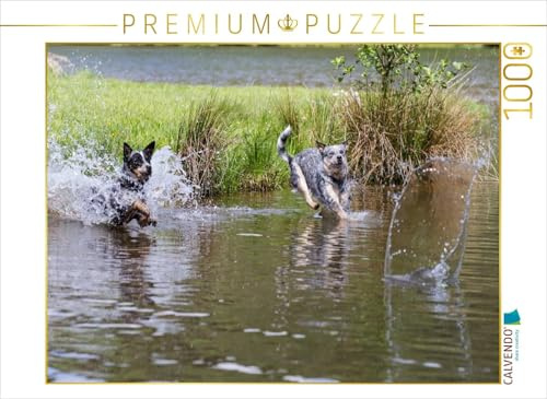 CALVENDO Puzzle EIN Motiv aus dem Kalender Spaziergang am See Australian Cattle Dogs | 1000 Teile Lege-Größe 64 x 48 cm Foto-Puzzle für glückliche Stunden