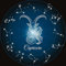 BLUEMEX Sternzeichen Steinbock, Glow in The Dark - Nachtleuchtend, eckige Steine, 60x60cm, 45 Farben, Vollbild