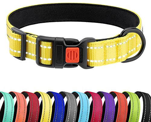 CollarDirect Reflektierendes Hundehalsband für kleinen, mittelgroßen, großen Hund, Welpen mit Schnellverschluss, Hündin, Rüde, 48 Sorten, Nylon Wasserfest
