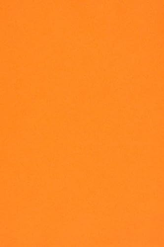 Netuno 10 x Tonkarton DIN A3 297x 420 mm Orange 250g Burano Arancio Trop Bastelkarton einfarbig Fotokarton A3 bunt durchgefärbt Feinpapier DIY Bogen Kreativ-Karton farbig buntes Tonpapier